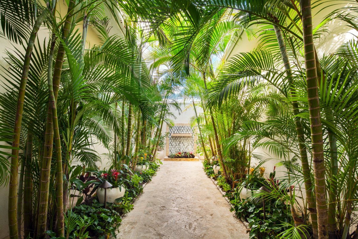 Puerto Rico visual data 8